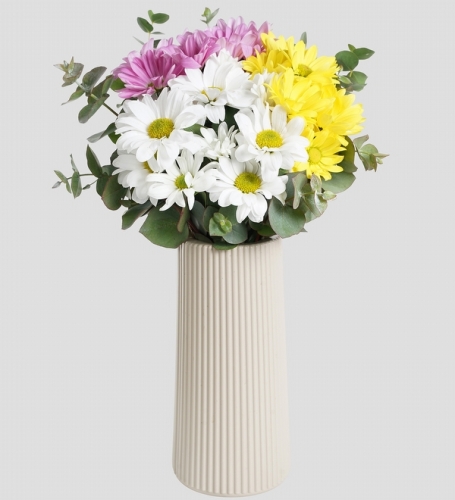 Bej Vazoda Renkli Papatya