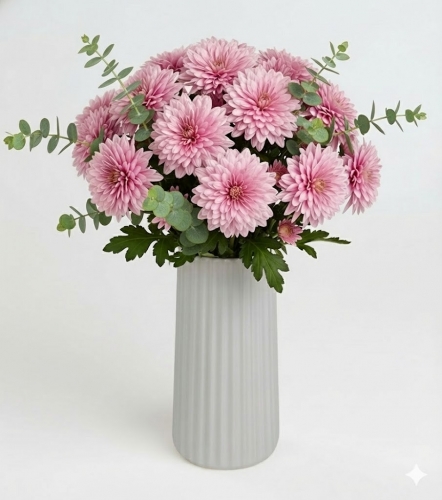 Bej Vazoda Pembe Kasımpatı