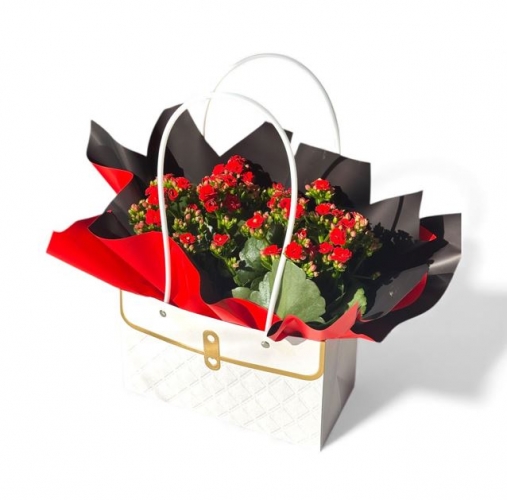 Çantada Kırmızı Kalanchoe