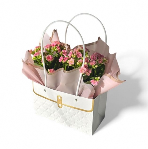 Çantada Pembe Kalanchoe