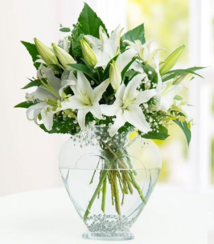 Kalp Vazoda Lilyumlar