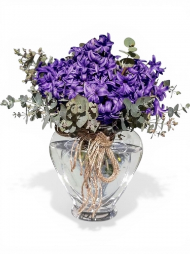 Vazoda Mis Kokulu Mor Sümbül