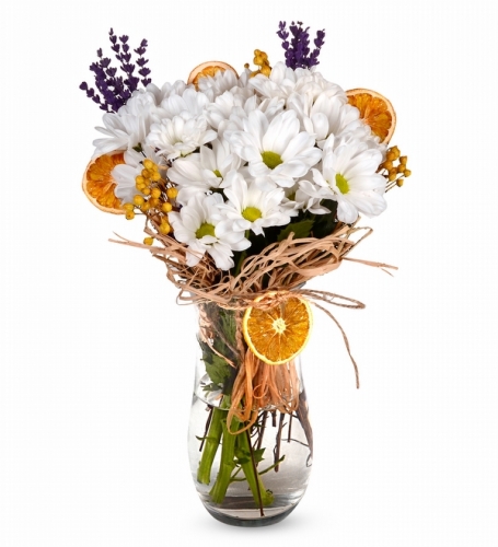 Cam Vazoda Papatya ve Portakal