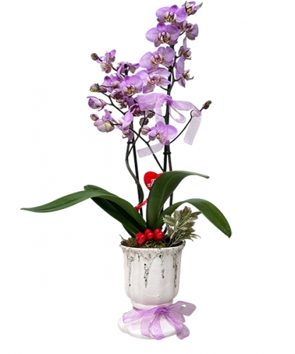 Ayaklı Seramik vazoda orkide 