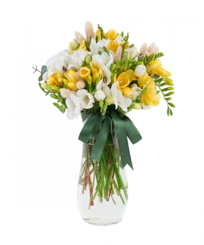 Sarı Beyaz Frezya 